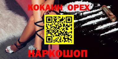 крисы Кулебаки