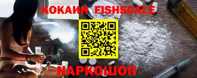 крисы Кулебаки