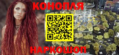 крисы Кулебаки