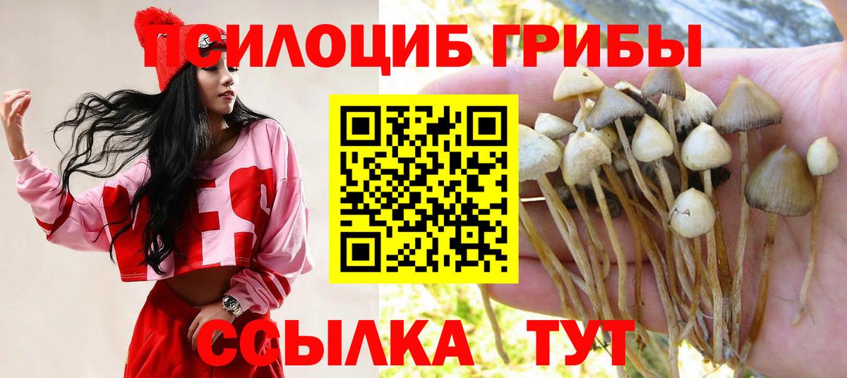Владимир  Псилоцибиновые грибы прущие грибы  Вход с VPN 